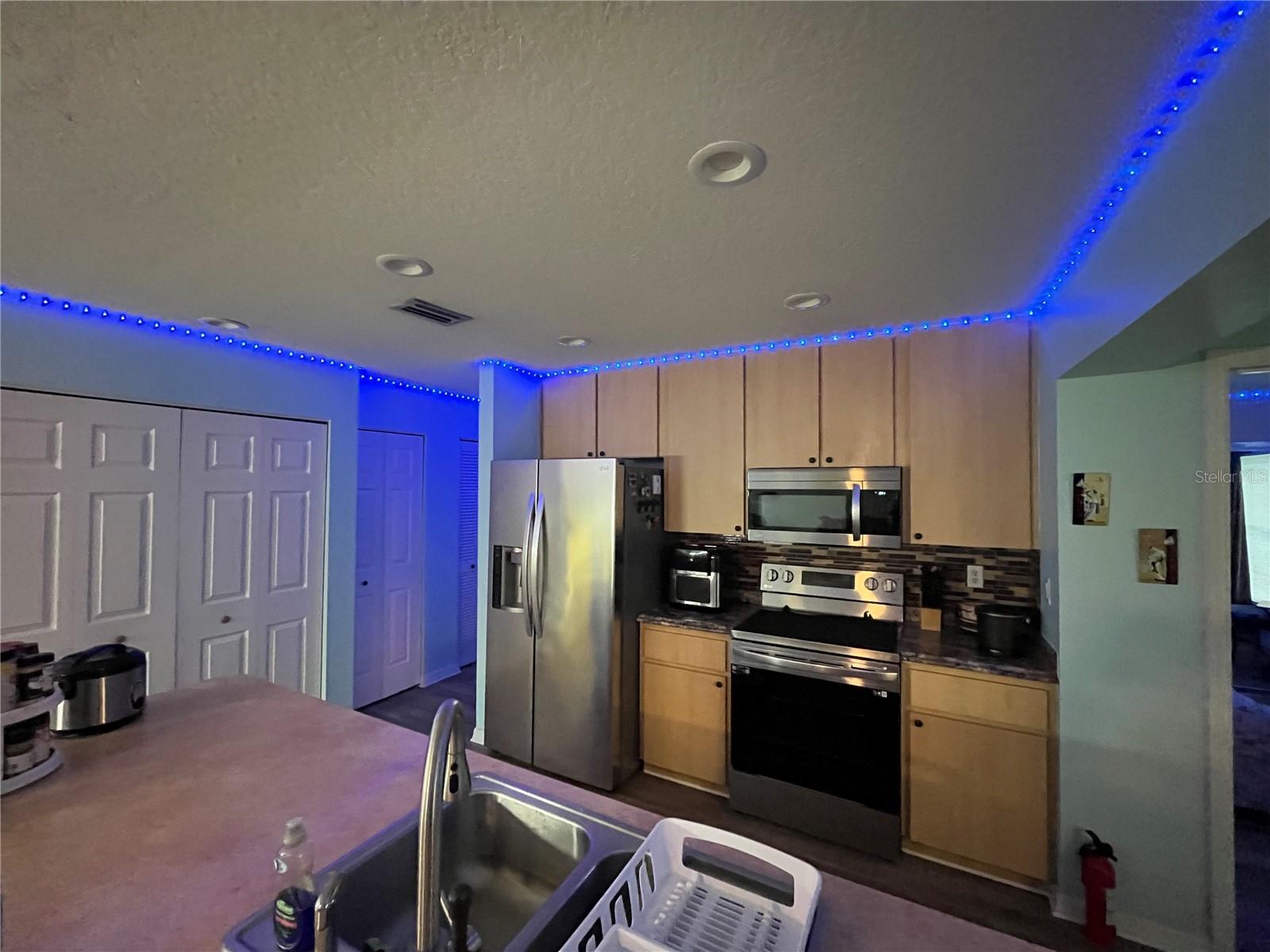 1017 WILLOW DR, LEESBURG, FL, 34748