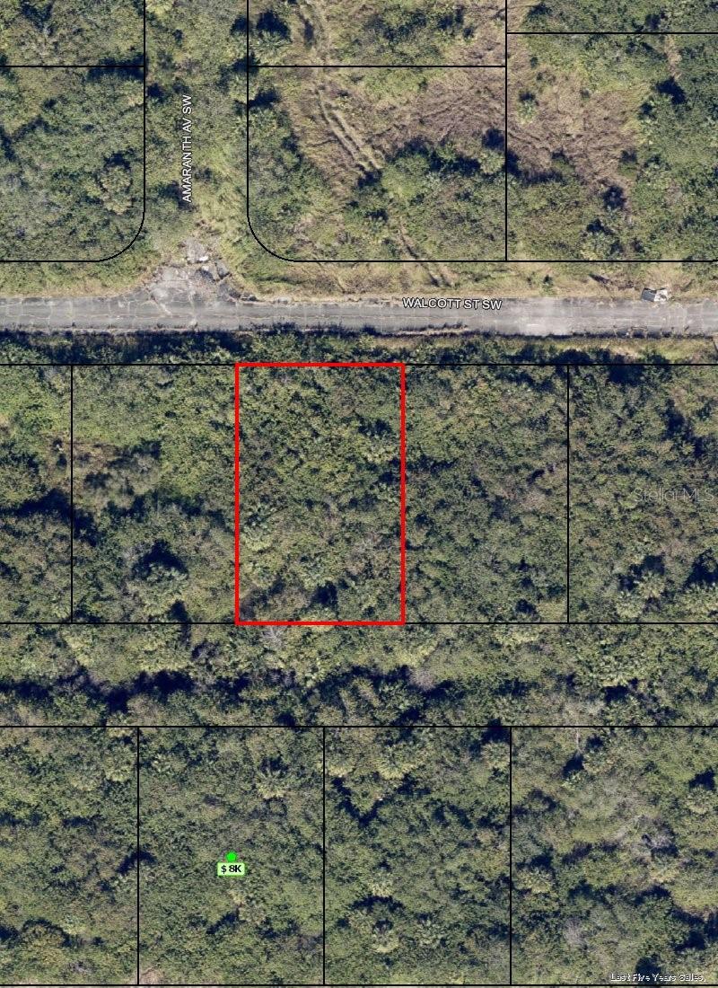 1008 WALCOTT ST SW, PALM BAY, FL, 32908