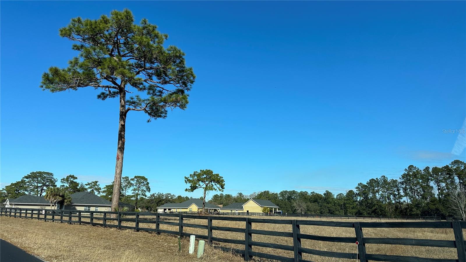TBD NE 61ST AVENUE ROAD RD, SILVER SPRINGS, FL, 34488