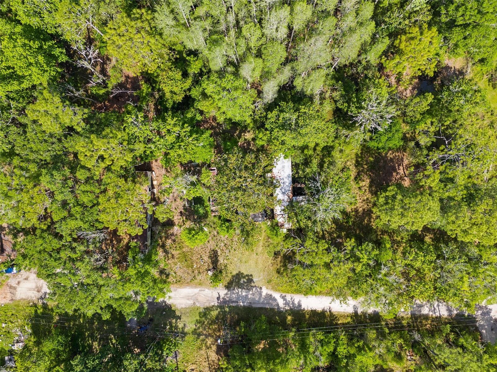 9524 ELLIS ST, NEW PORT RICHEY, FL, 34654