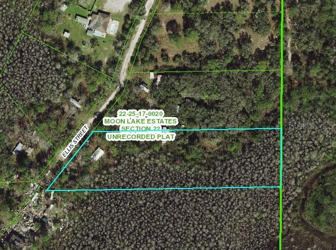 9524 ELLIS ST, NEW PORT RICHEY, FL, 34654
