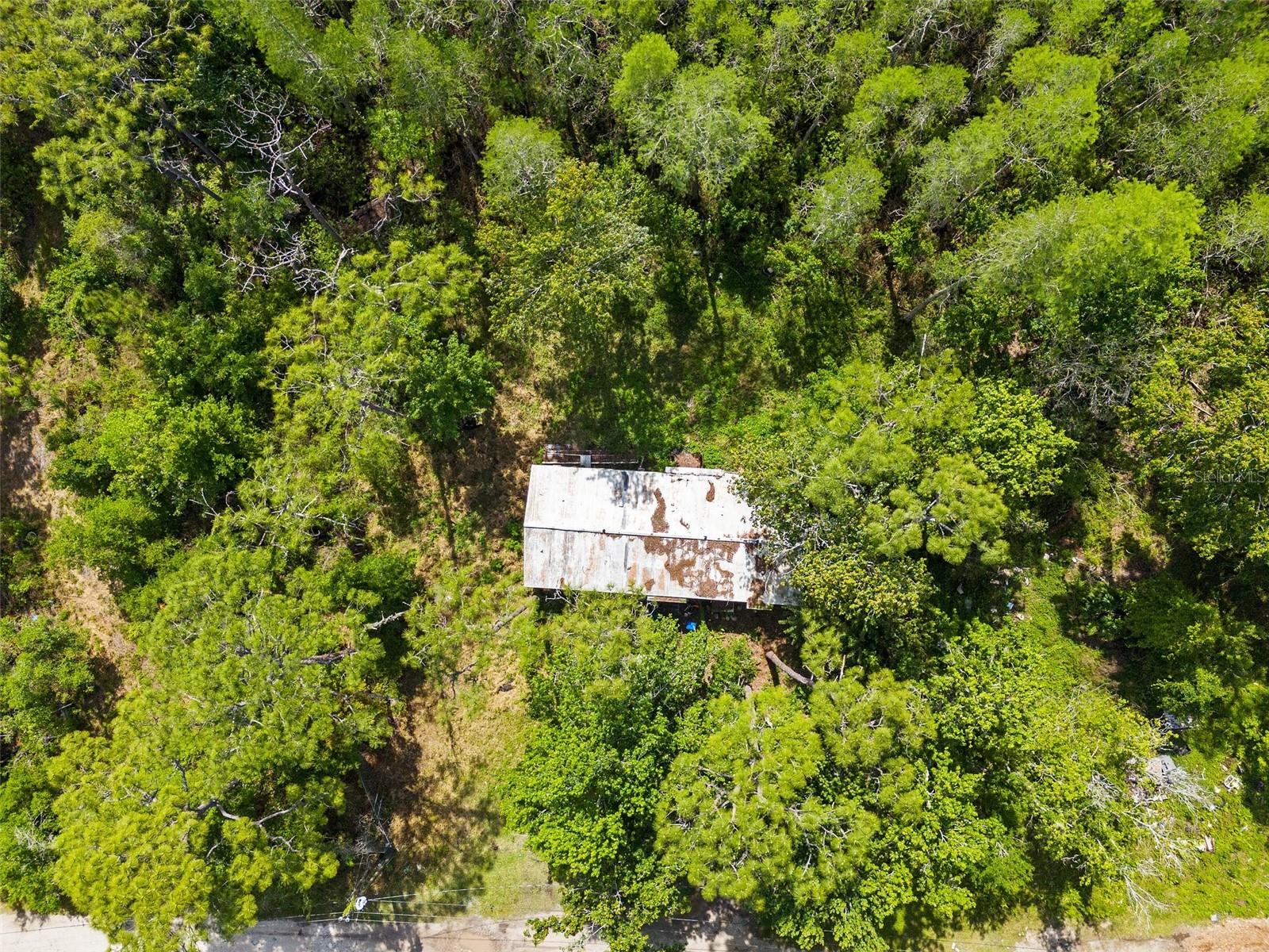 9524 ELLIS ST, NEW PORT RICHEY, FL, 34654