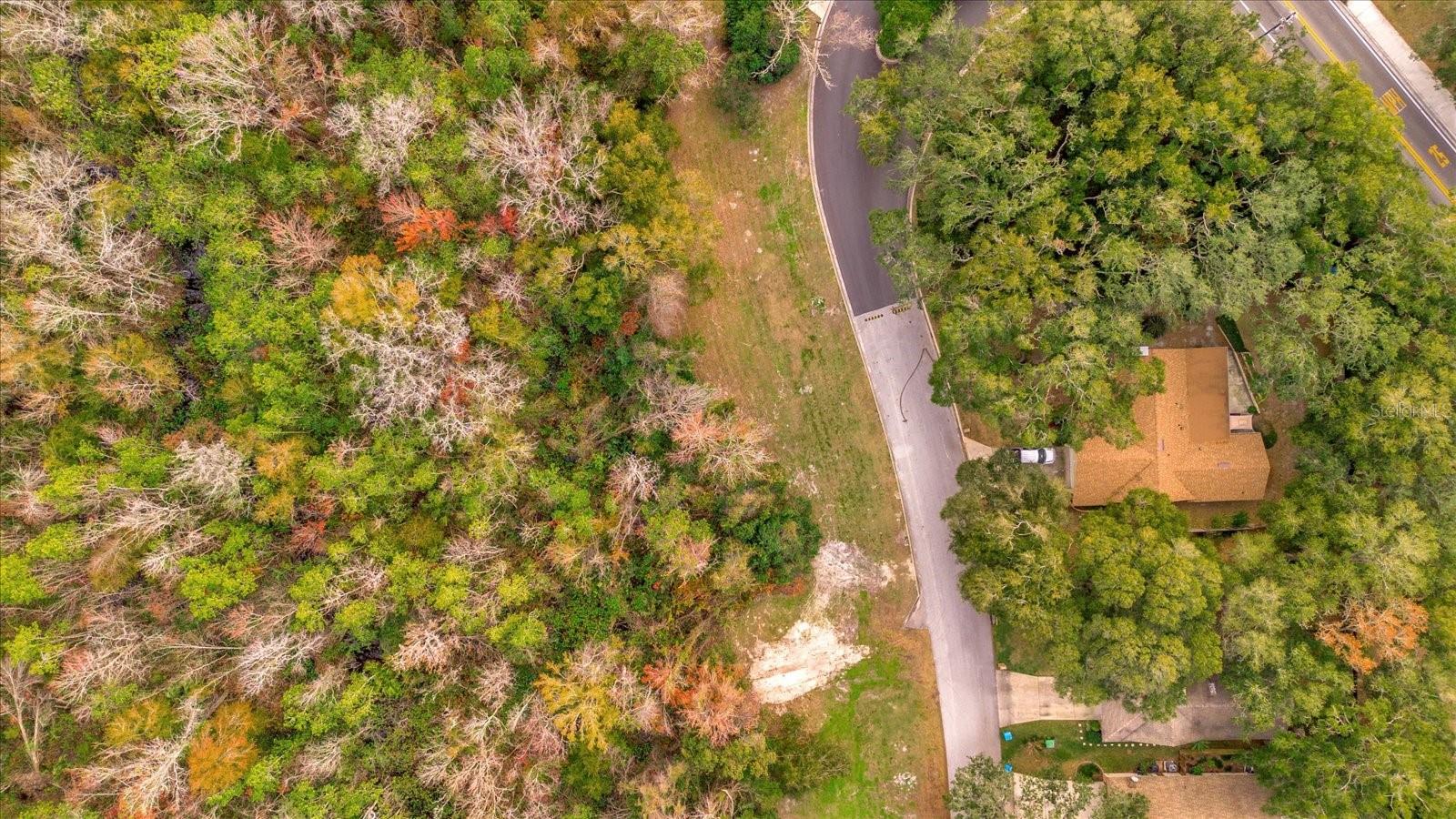 101 CITRUS TREE LN, LONGWOOD, FL, 32750