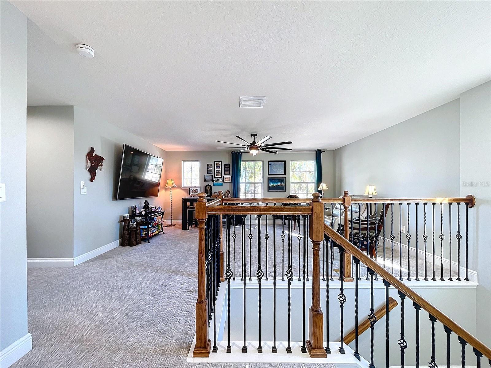 11525 LAKE LUCAYA DR, RIVERVIEW, FL, 33579