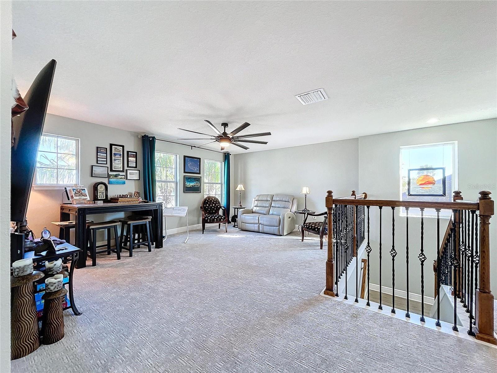 11525 LAKE LUCAYA DR, RIVERVIEW, FL, 33579