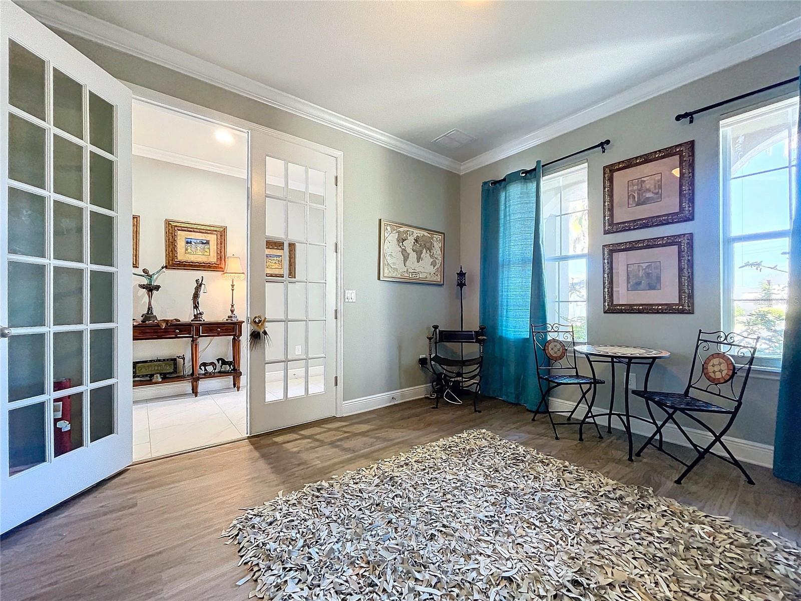 11525 LAKE LUCAYA DR, RIVERVIEW, FL, 33579