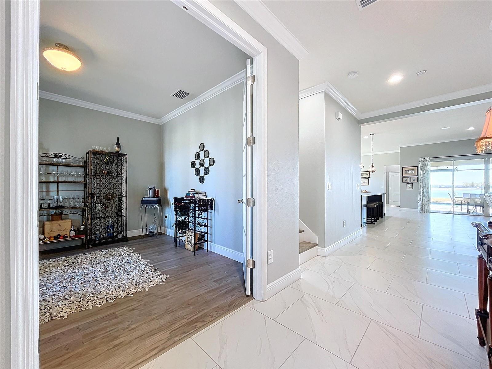 11525 LAKE LUCAYA DR, RIVERVIEW, FL, 33579