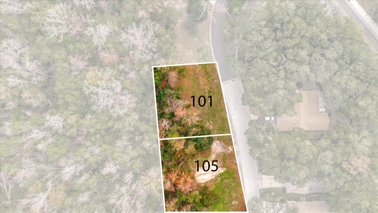 105 CITRUS TREE LN, LONGWOOD, FL, 32750