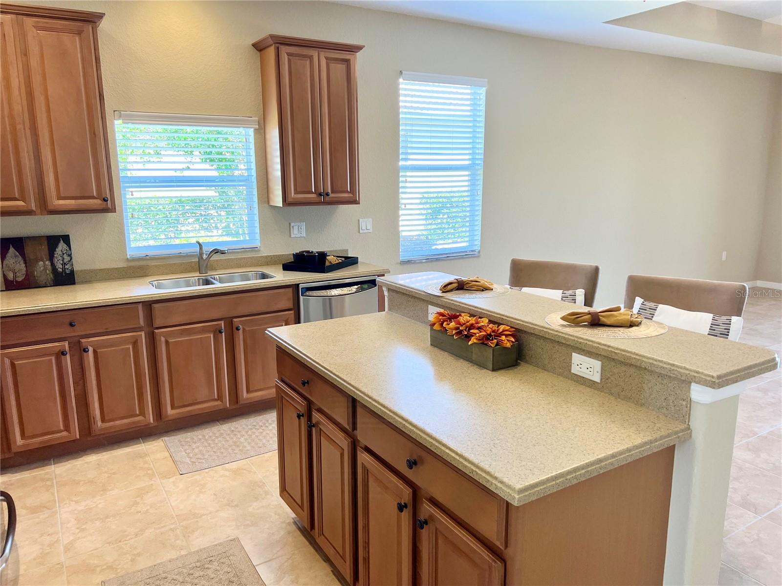 234 RIVER ENCLAVE CT, BRADENTON, FL, 34212