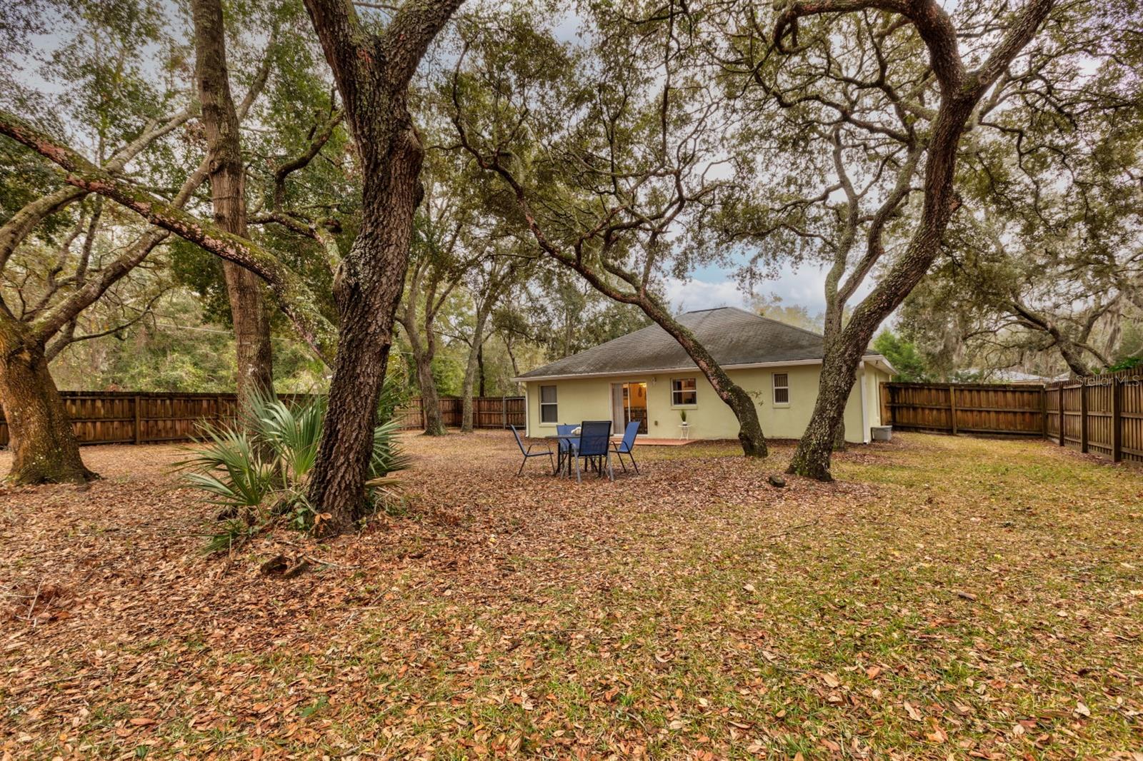 4343 LEMON ST, LADY LAKE, FL, 32159
