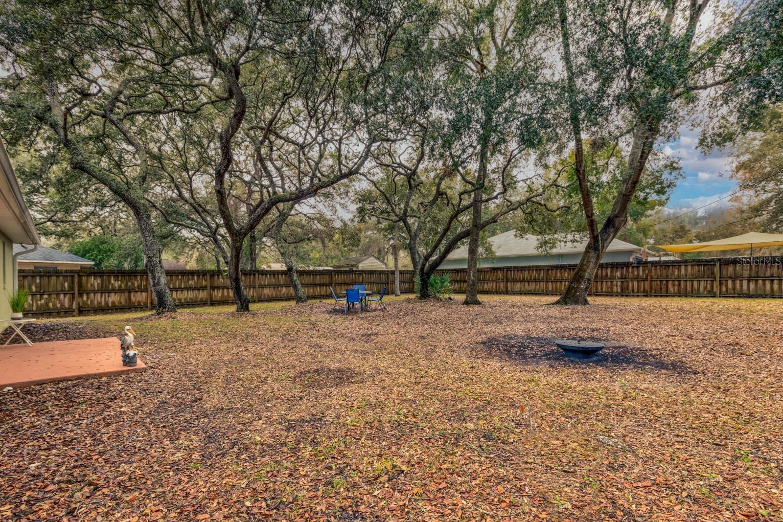 4343 LEMON ST, LADY LAKE, FL, 32159