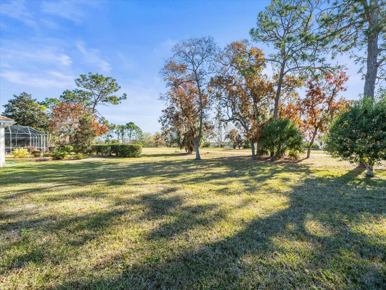 9157 PENELOPE DR, WEEKI WACHEE, FL, 34613