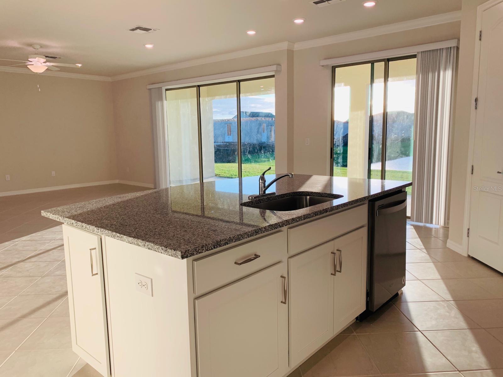 10738 GREEN HARVEST DR, RIVERVIEW, FL, 33578