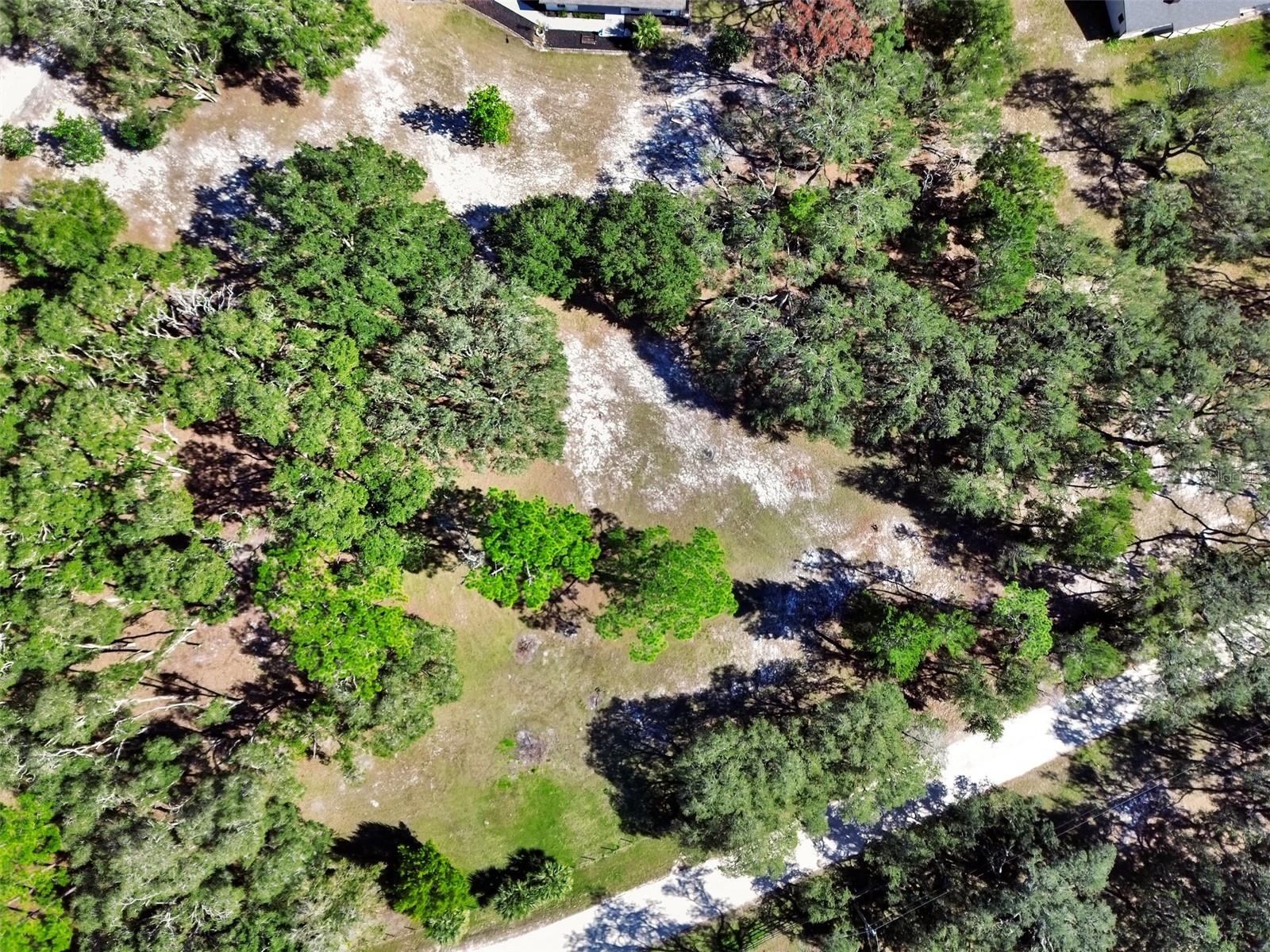 390 FOOTHILL FARMS RD, ORANGE CITY, FL, 32763