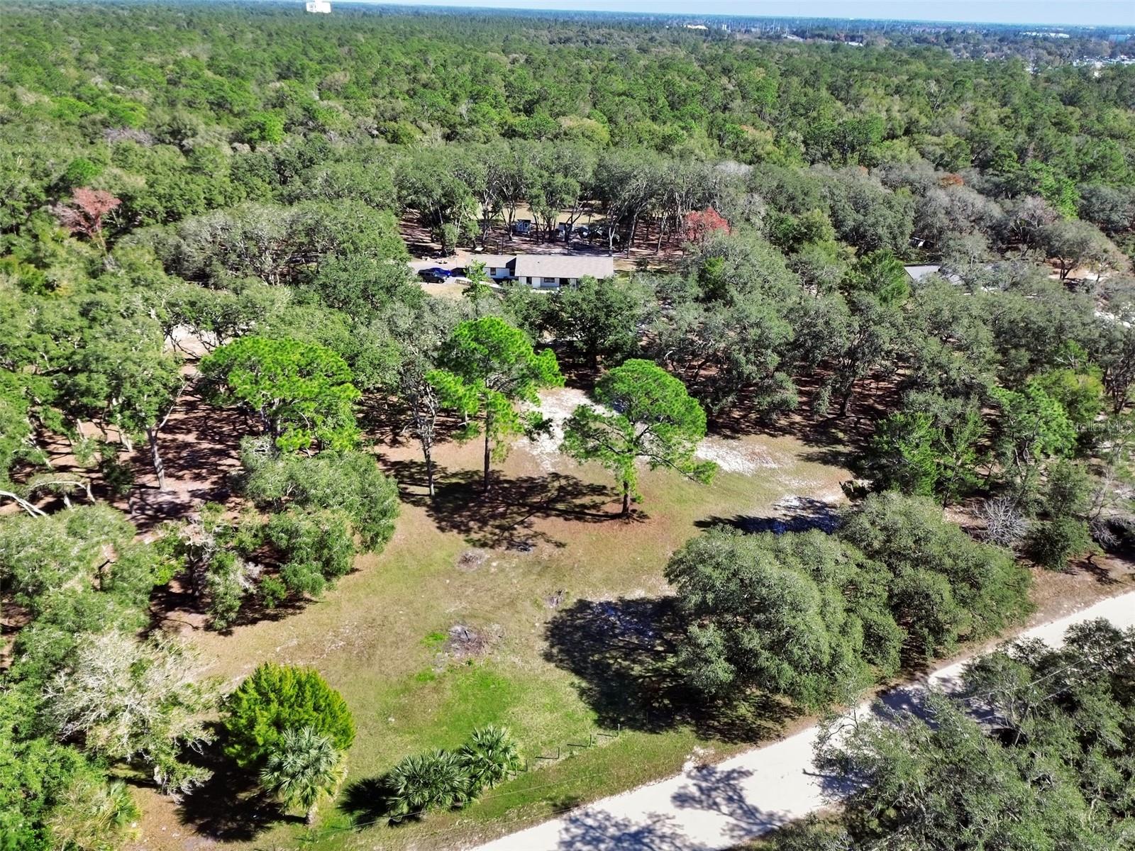 390 FOOTHILL FARMS RD, ORANGE CITY, FL, 32763