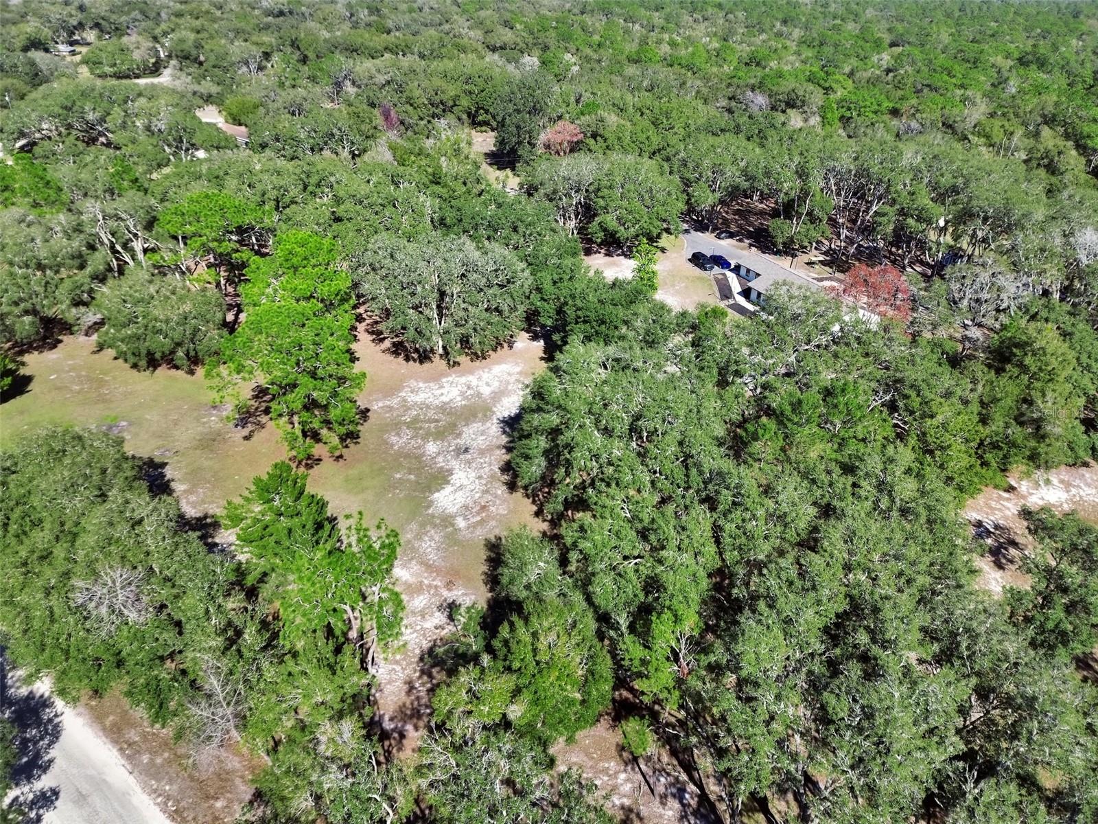 390 FOOTHILL FARMS RD, ORANGE CITY, FL, 32763
