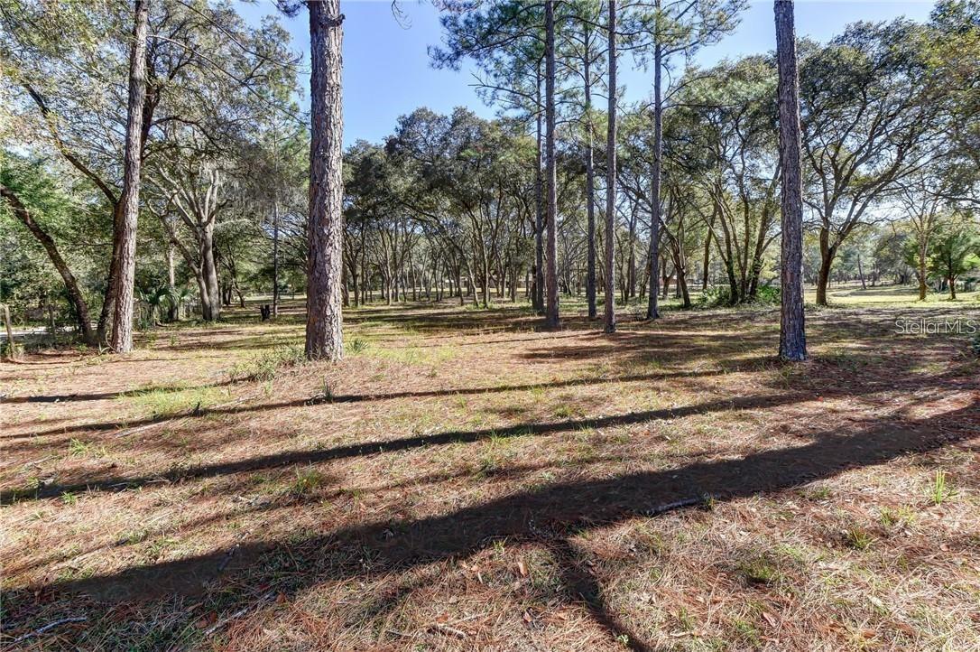390 FOOTHILL FARMS RD, ORANGE CITY, FL, 32763