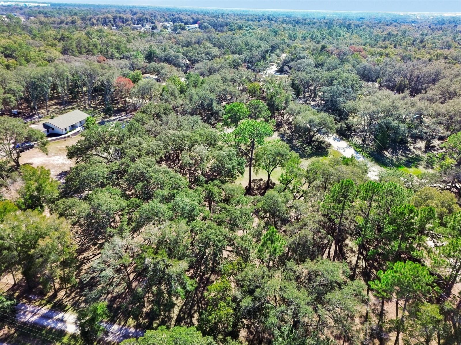 390 FOOTHILL FARMS RD, ORANGE CITY, FL, 32763
