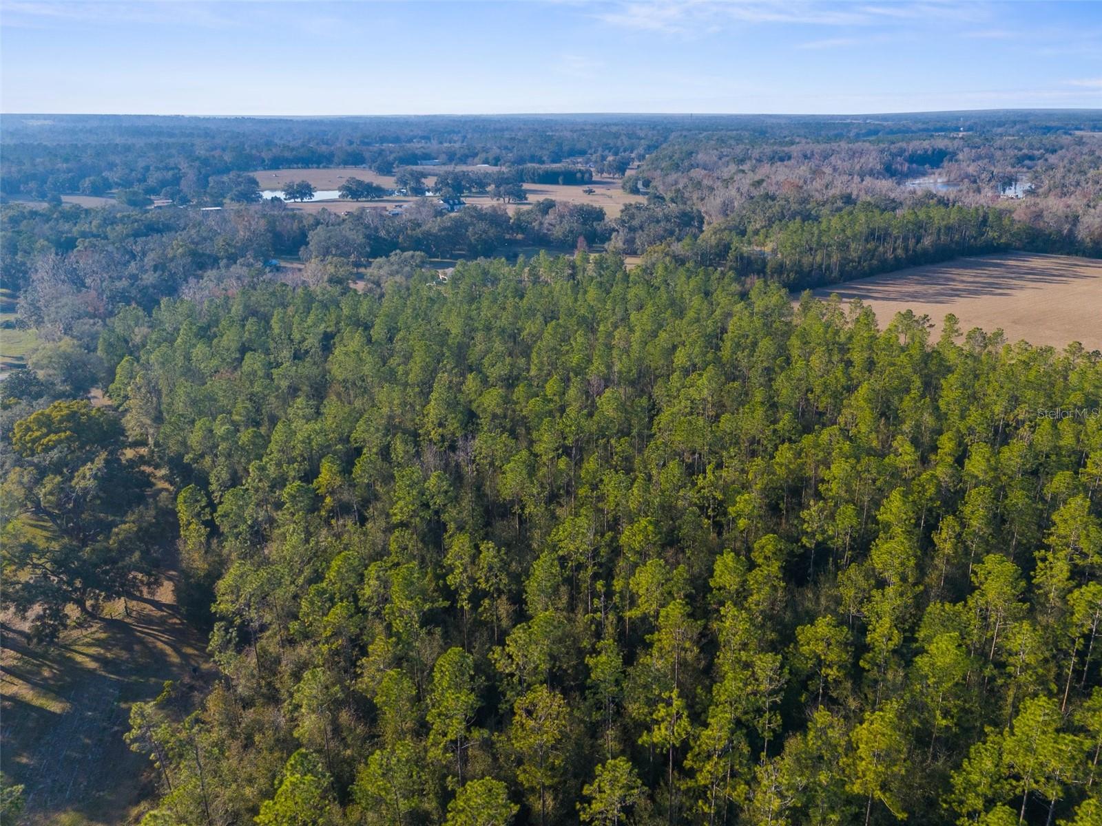 0 SPRING LAKE HWY, BROOKSVILLE, FL, 34601