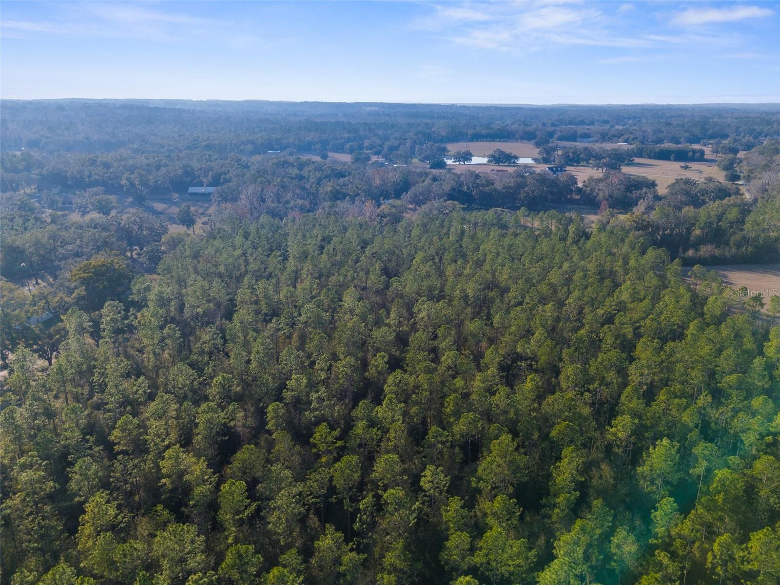 0 SPRING LAKE HWY, BROOKSVILLE, FL, 34601