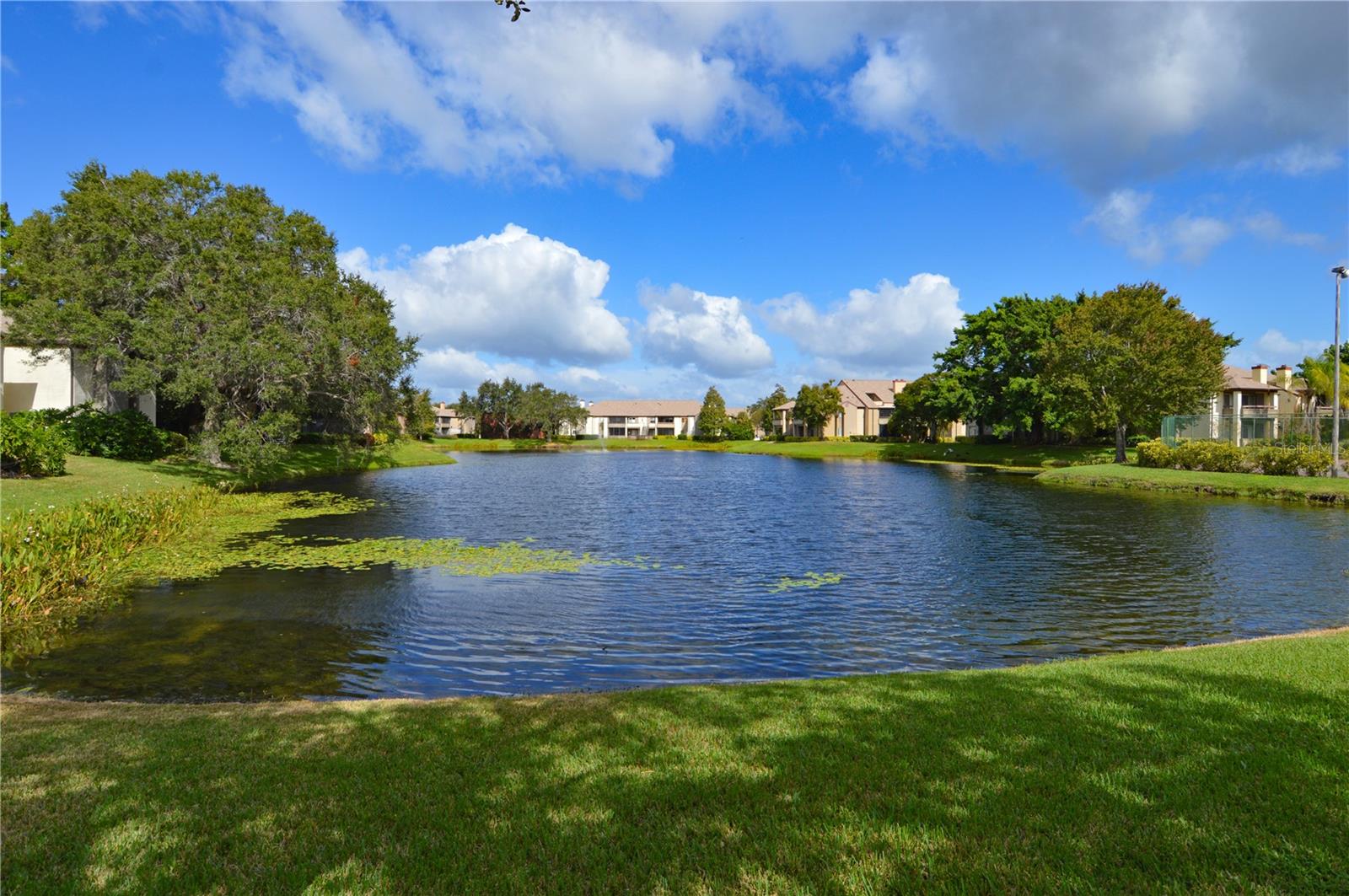 10263 GANDY BLVD N #2102, ST PETERSBURG, FL, 33702