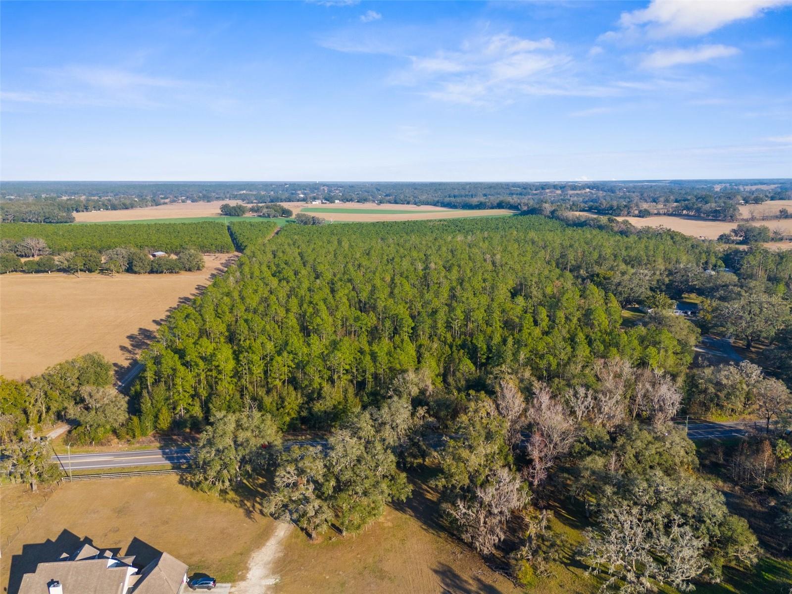 100 SPRING LAKE HWY, BROOKSVILLE, FL, 34601