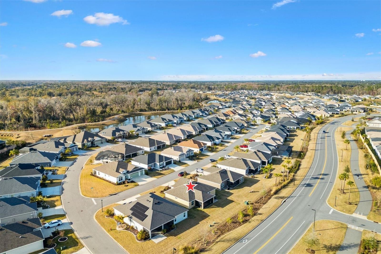 4429 HOMAN LOOP, THE VILLAGES, FL, 32163