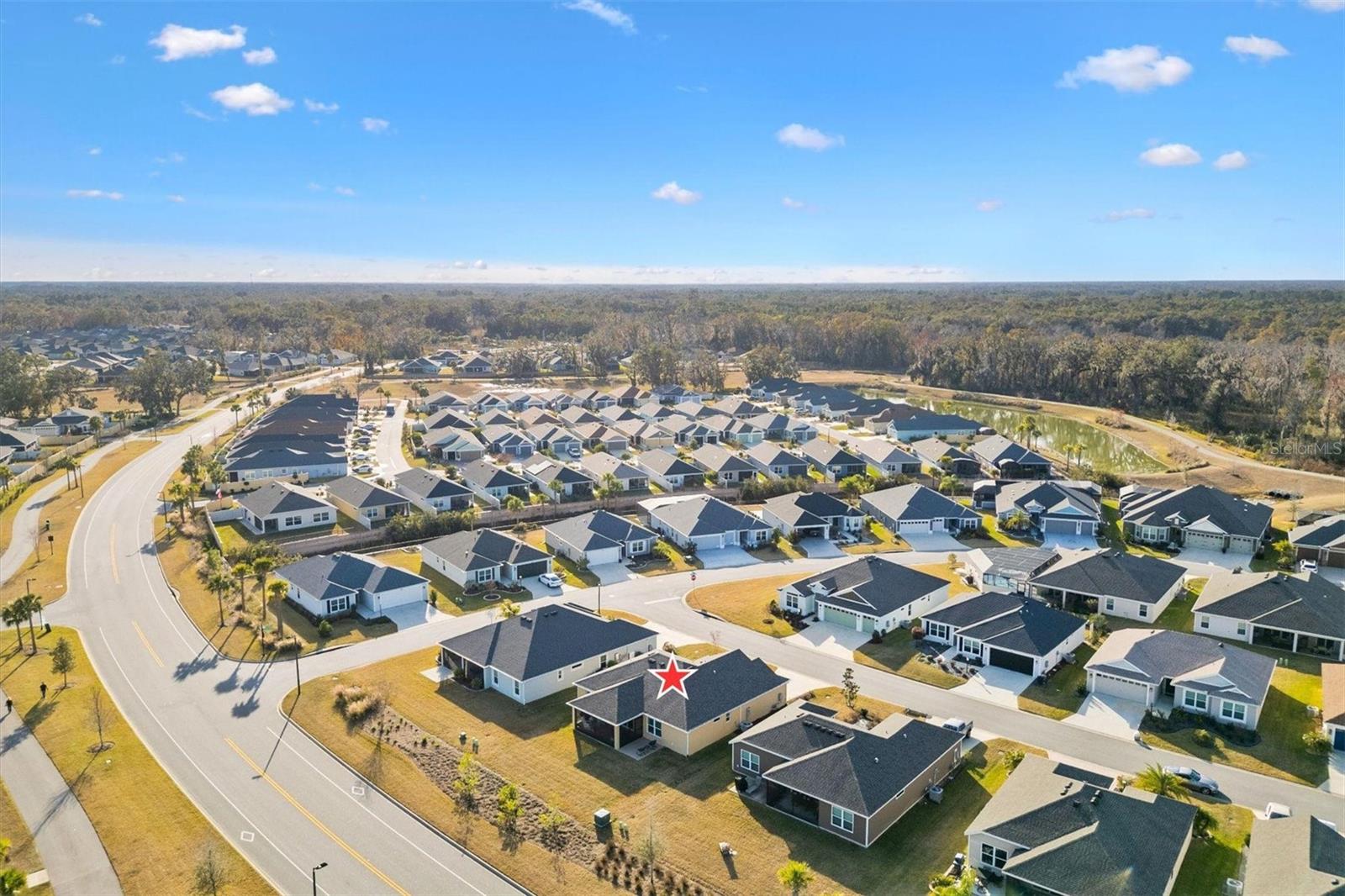 4429 HOMAN LOOP, THE VILLAGES, FL, 32163