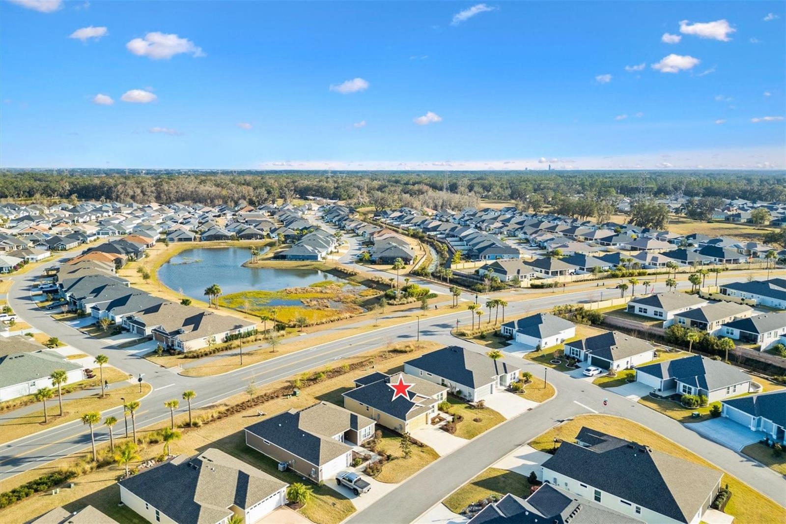 4429 HOMAN LOOP, THE VILLAGES, FL, 32163