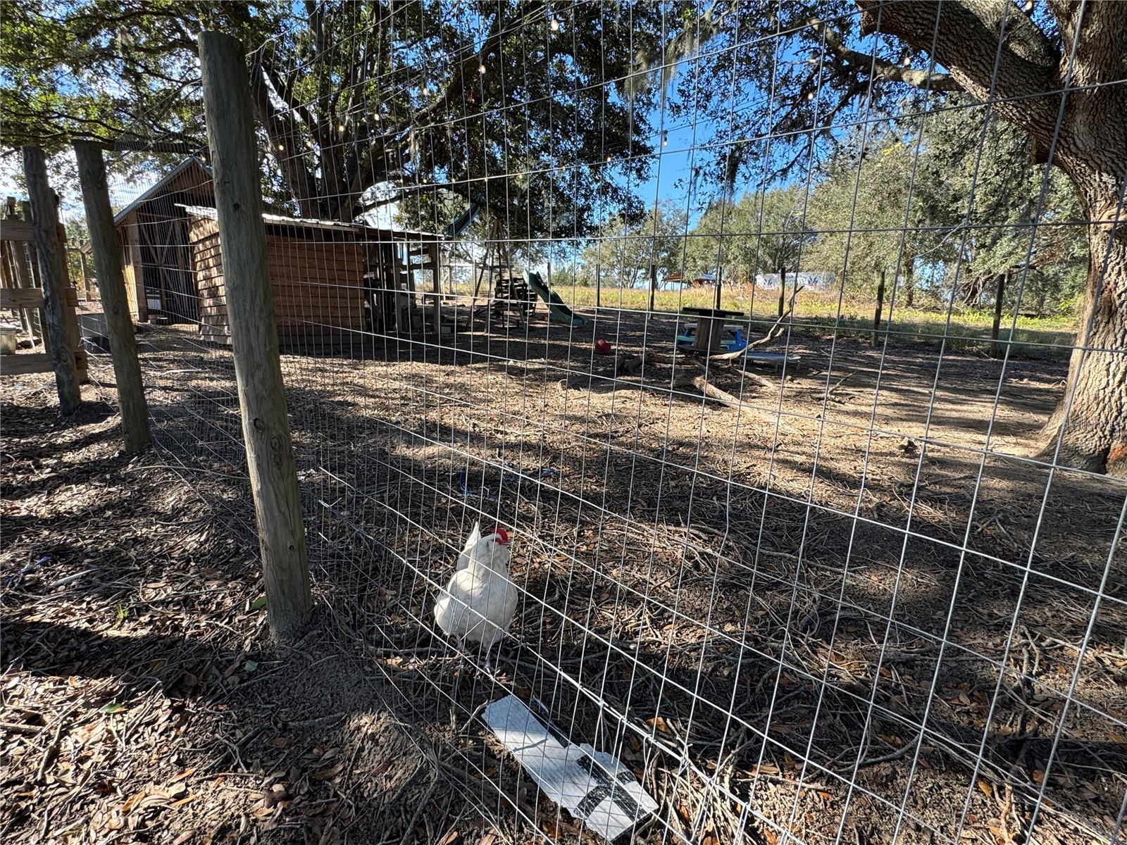17901 CORALWOOD LN, GROVELAND, FL, 34736