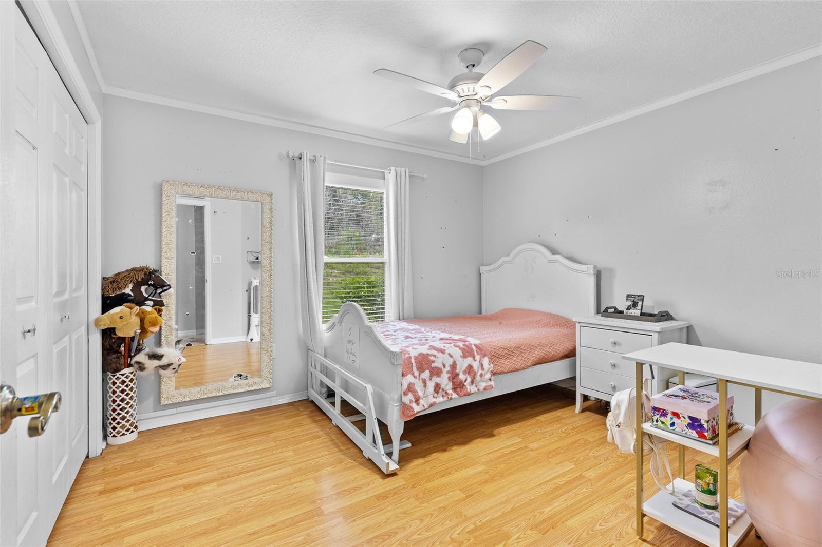 17901 CORALWOOD LN, GROVELAND, FL, 34736