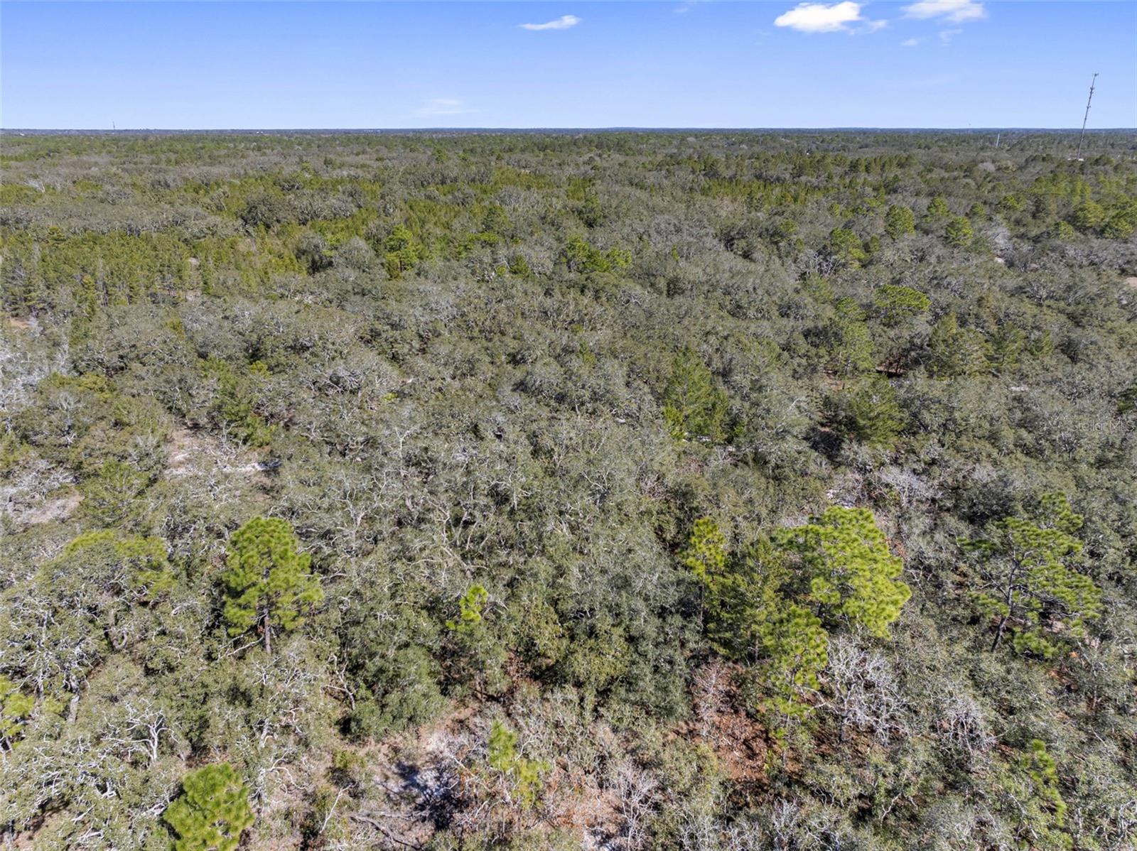 16-24-17-0000-00400-0000, HUDSON, FL, 34667