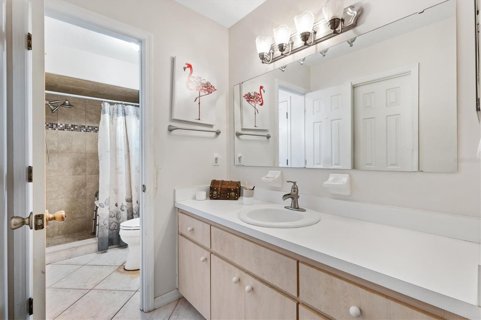 17593 SE 95TH, SUMMERFIELD, FL, 34491