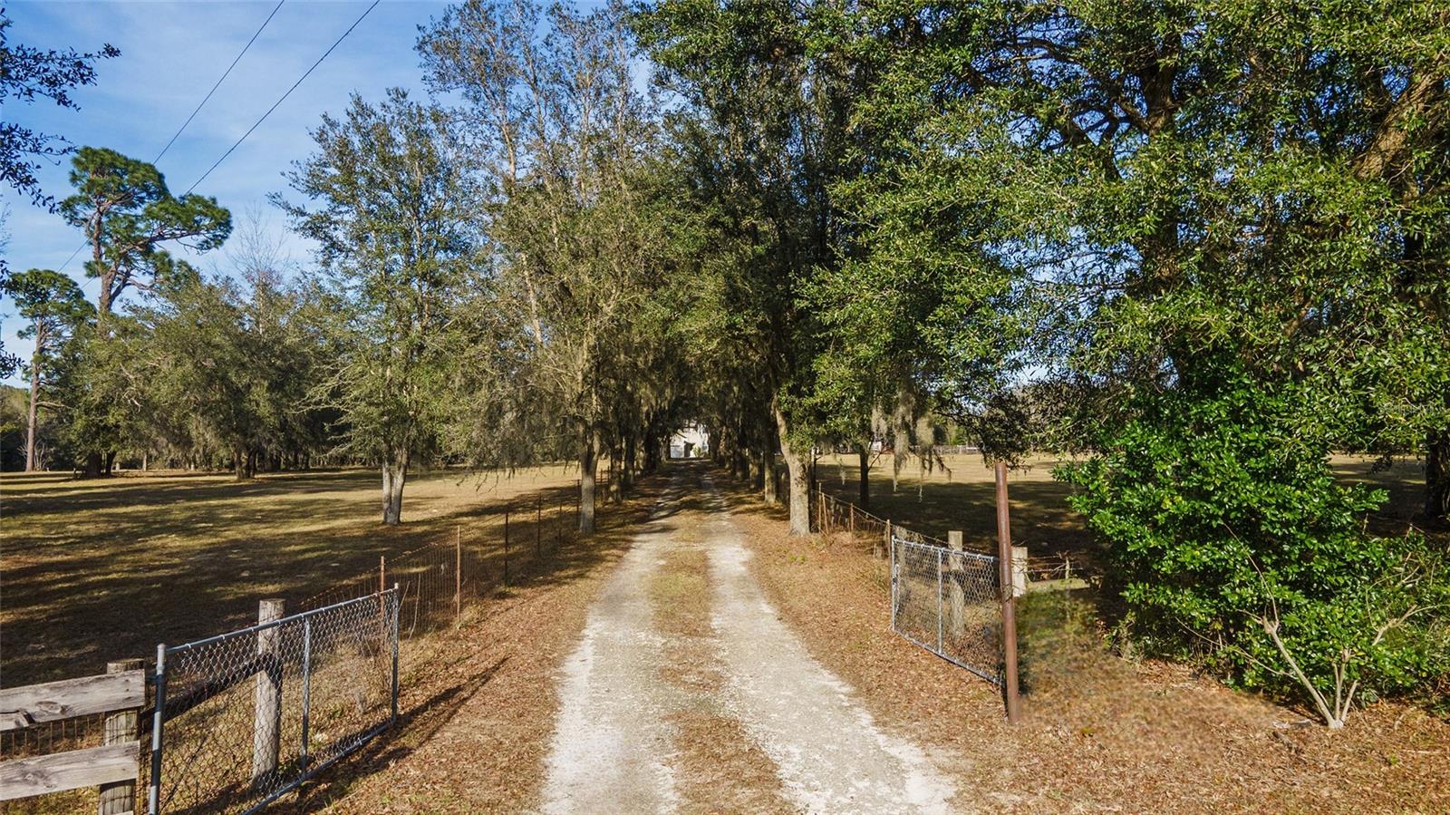395 SW 197TH CT, DUNNELLON, FL, 34431