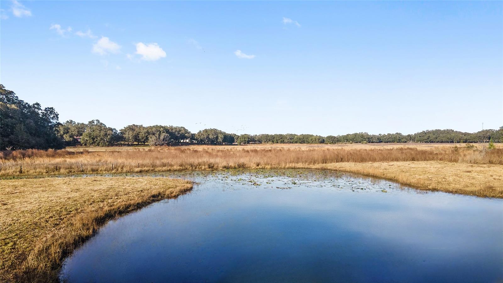 395 SW 197TH CT, DUNNELLON, FL, 34431