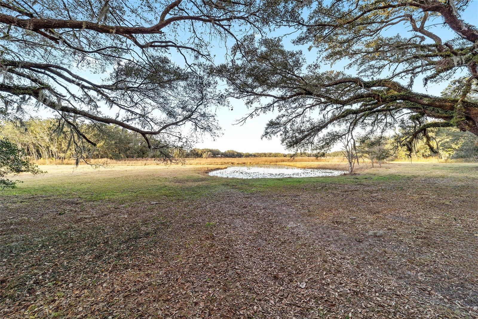 395 SW 197TH CT, DUNNELLON, FL, 34431