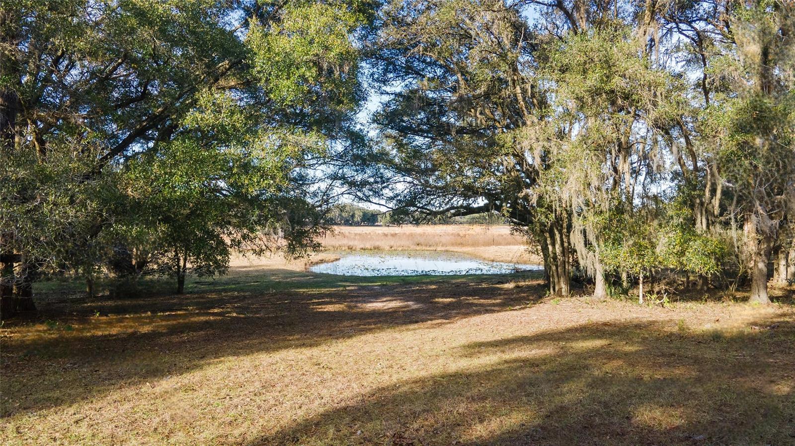 395 SW 197TH CT, DUNNELLON, FL, 34431