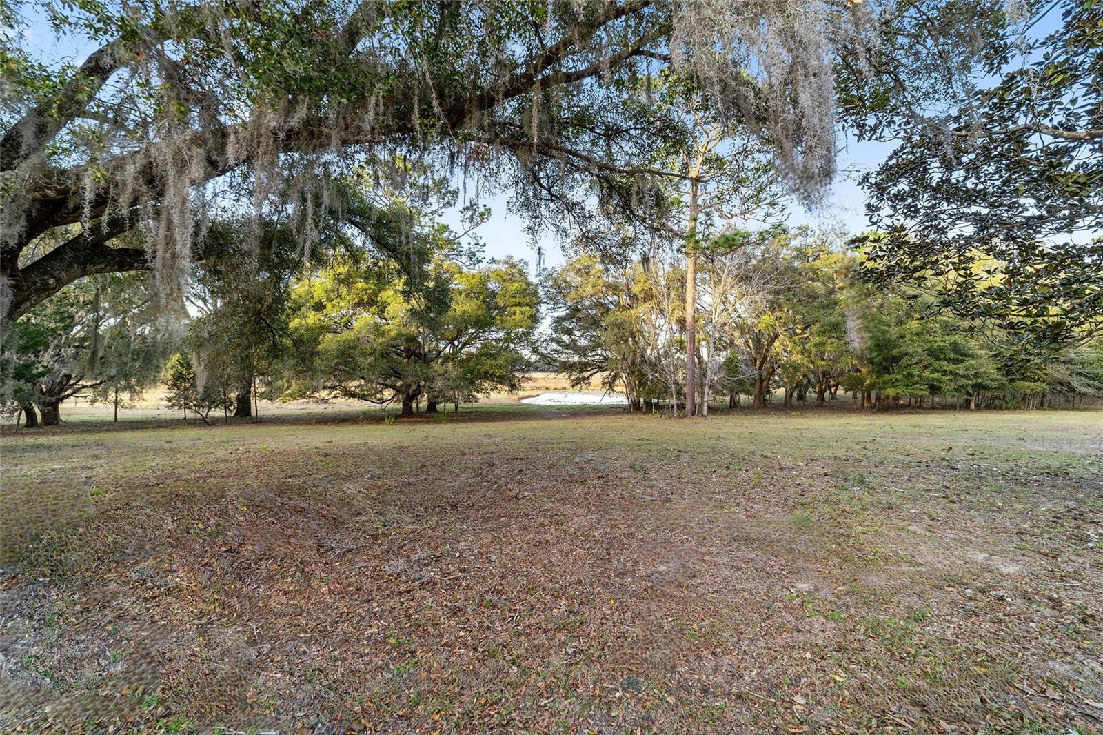 395 SW 197TH CT, DUNNELLON, FL, 34431