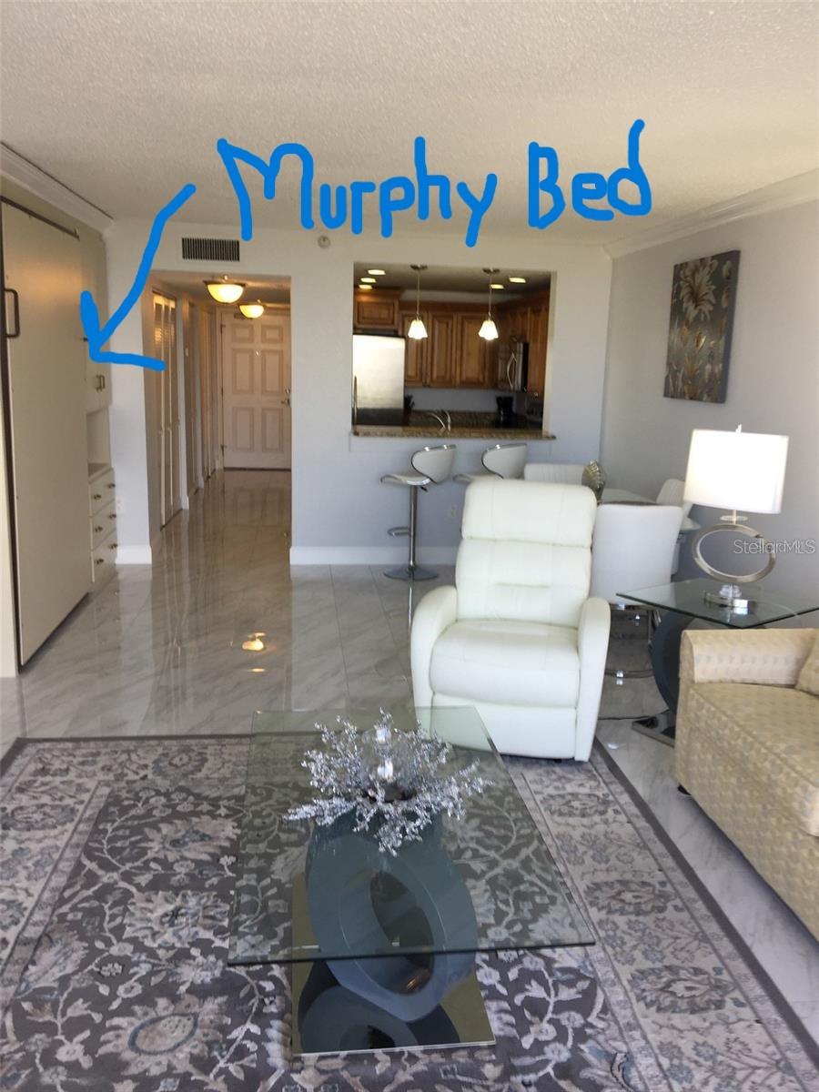 1250 GULF BLVD #505, CLEARWATER, FL, 33767