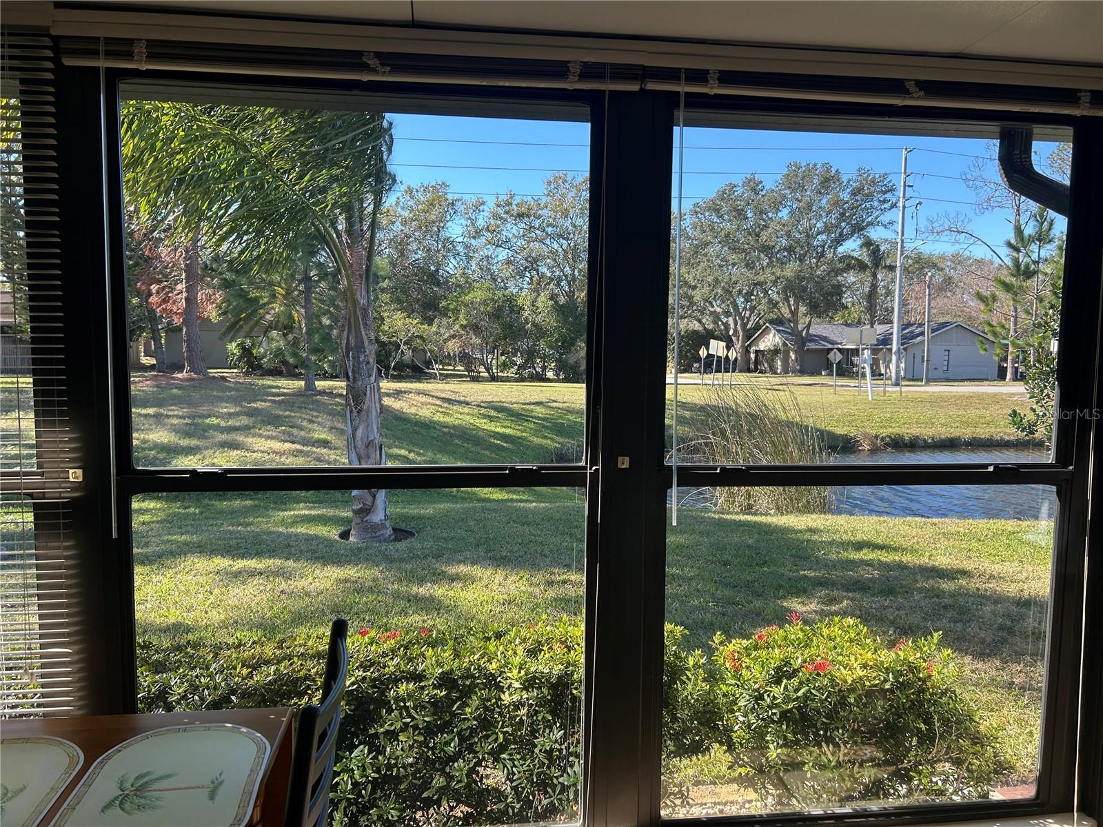 HIGHLAND LAKES, PALM HARBOR, FL, 34684