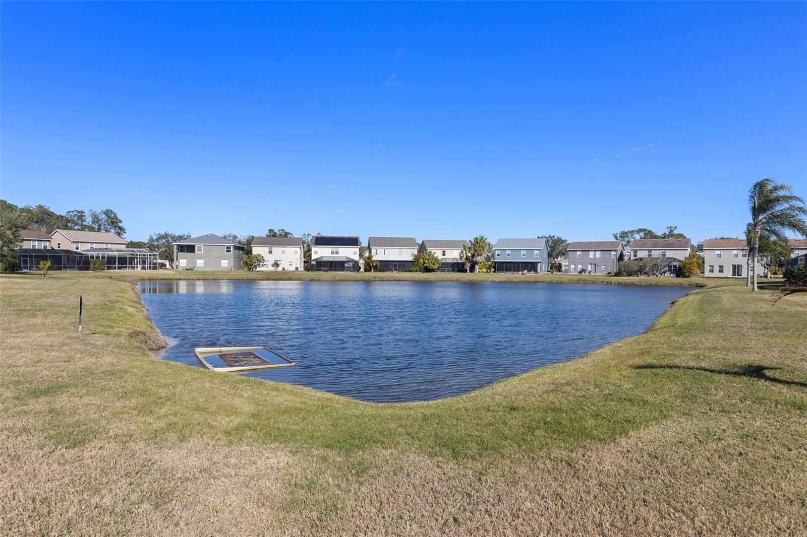 8919 N RIVER RD, TAMPA, FL, 33635
