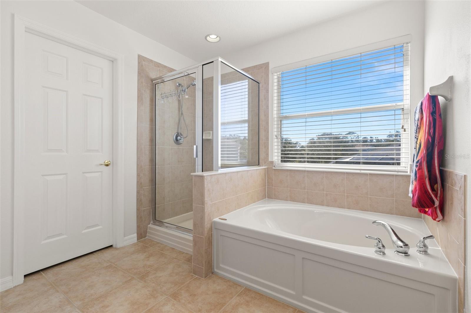 8919 N RIVER RD, TAMPA, FL, 33635