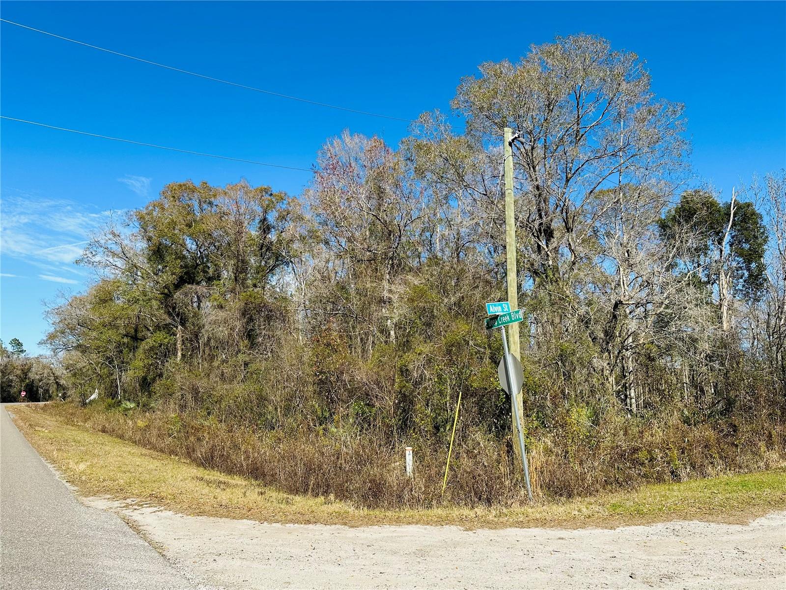 4790 ALVIN ST, HASTINGS, FL, 32145