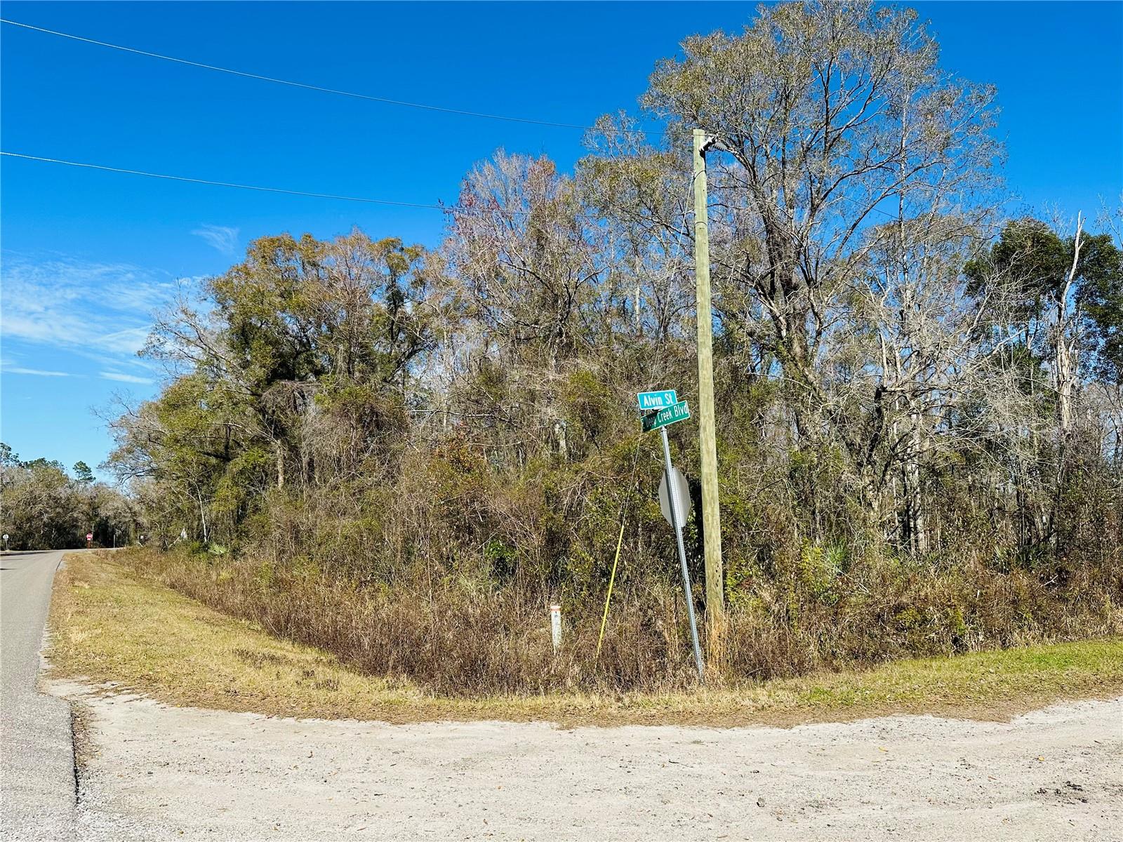 4790 ALVIN ST, HASTINGS, FL, 32145