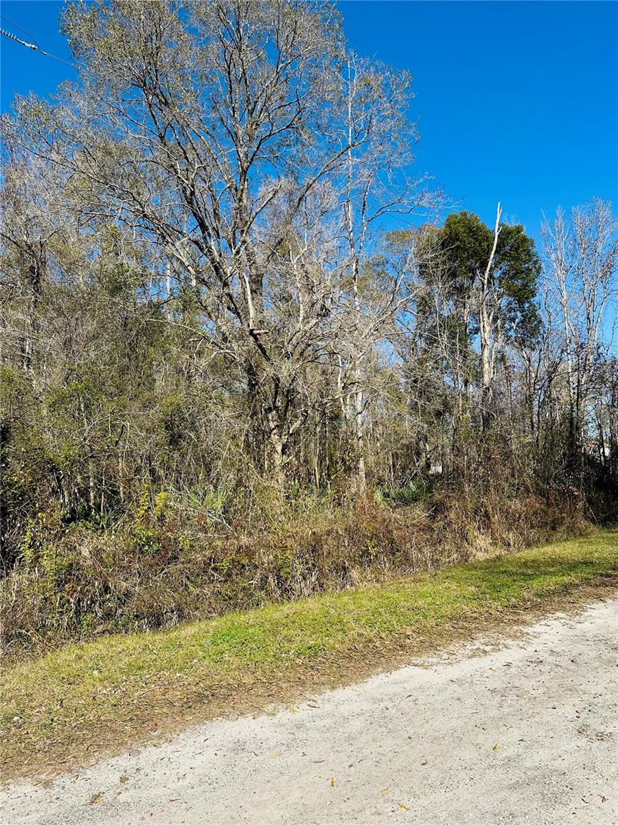 4790 ALVIN ST, HASTINGS, FL, 32145