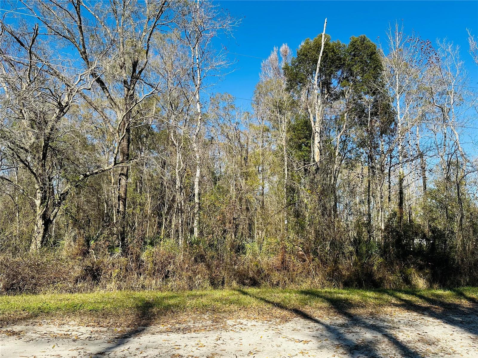 4790 ALVIN ST, HASTINGS, FL, 32145