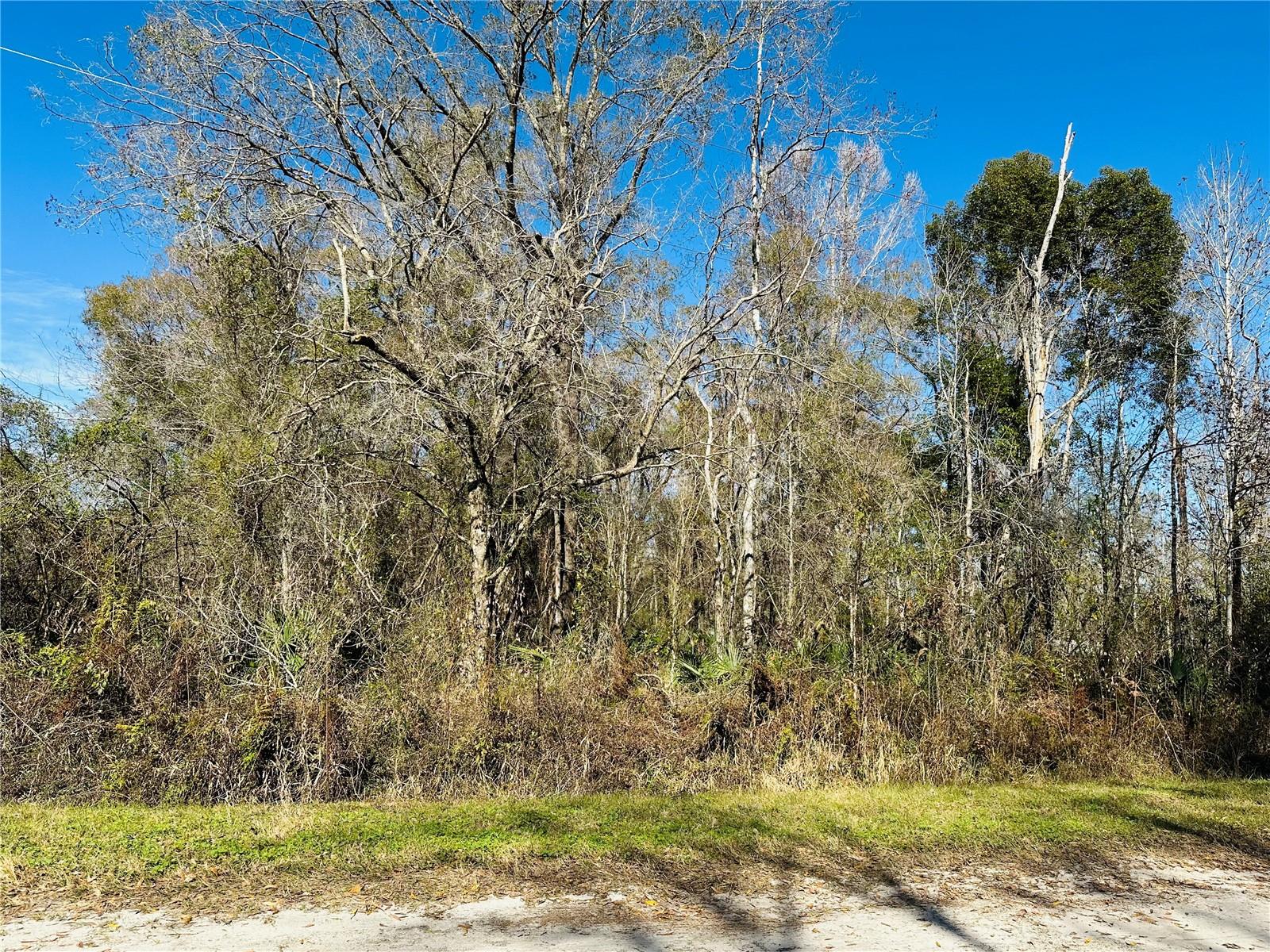 4790 ALVIN ST, HASTINGS, FL, 32145