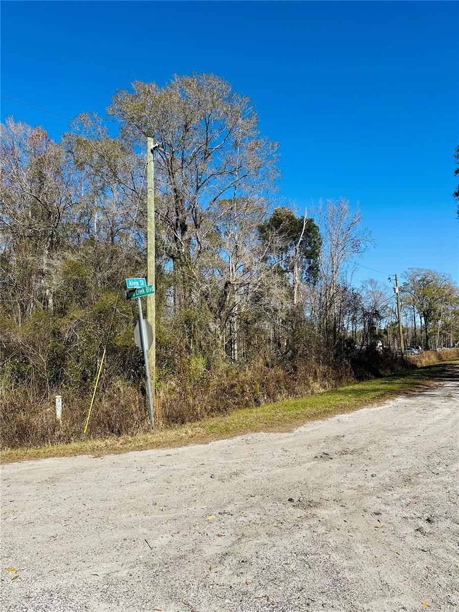 4790 ALVIN ST, HASTINGS, FL, 32145