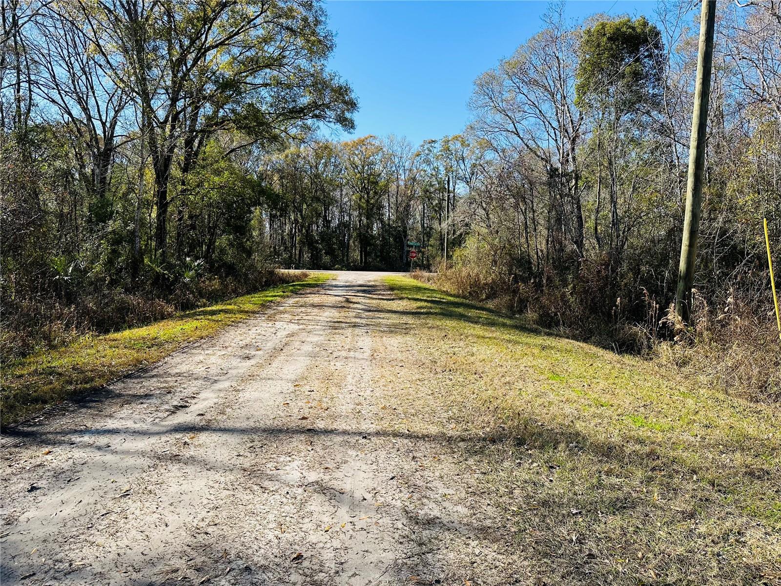 4790 ALVIN ST, HASTINGS, FL, 32145