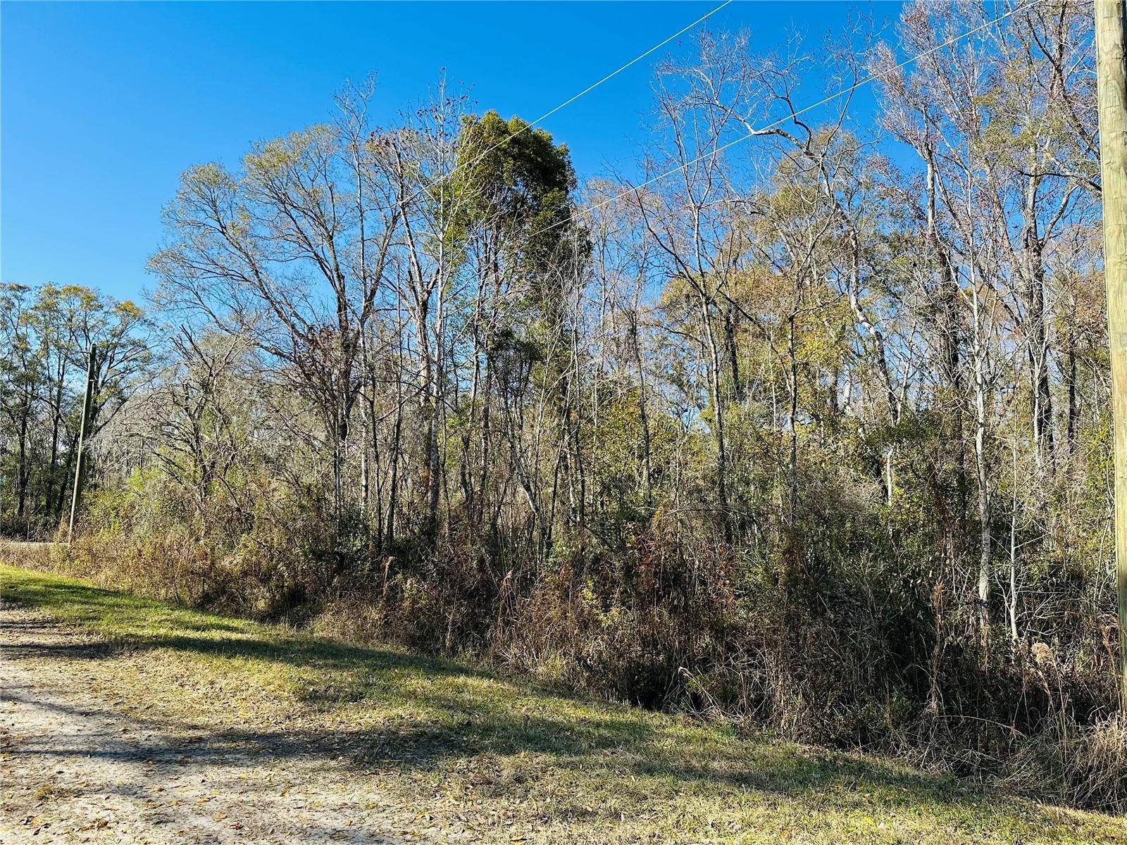 4790 ALVIN ST, HASTINGS, FL, 32145